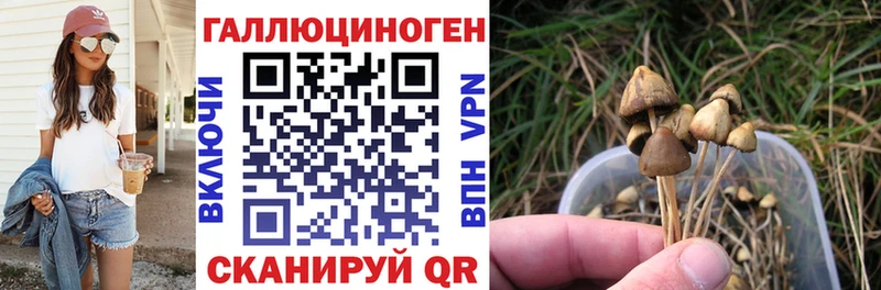 Галлюциногенные грибы Psilocybe сколько стоит Урай